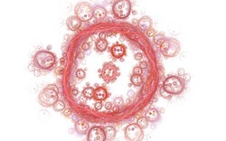 2014 05 04 Test 4 95-white.jpg